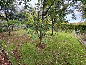 Rear Garden- click for photo gallery